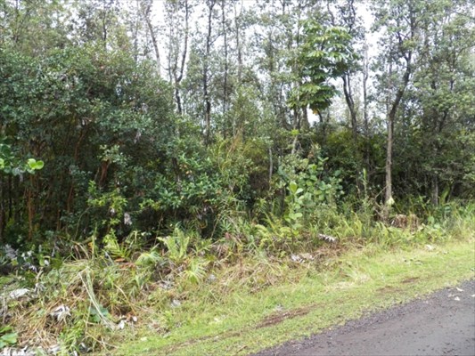 167 Kiawe Road Keaau, HI 96749 - Photo 4 of 6 Gallery Image 4