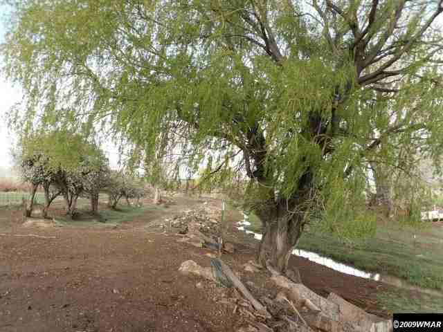 520 Webb Lane Snowflake, AZ 85937 - Photo 2 of 9