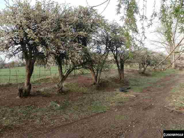 520 Webb Lane Snowflake, AZ 85937 - Photo 3 of 9
