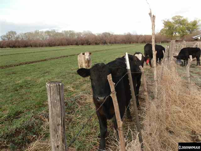 520 Webb Lane Snowflake, AZ 85937 - Photo 5 of 9