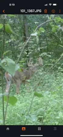 $149,000 | 61 Boscobel Wi 53805, Boscobel, WI 53805