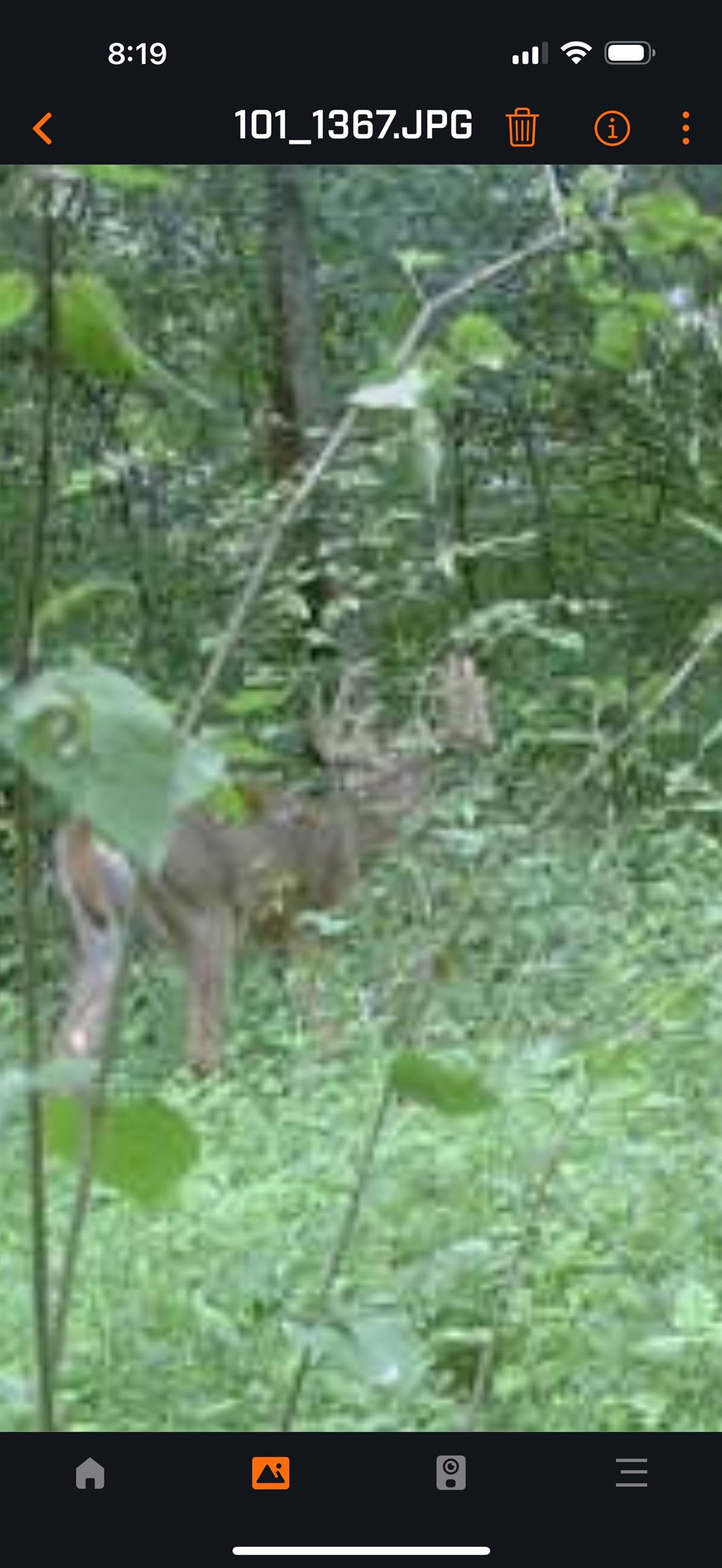 61 Boscobel Wi 53805 Boscobel, WI 53805 - Photo 11 of 16