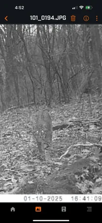 $139,900 | 61 Boscobel Wi 53805, Boscobel, WI 53805