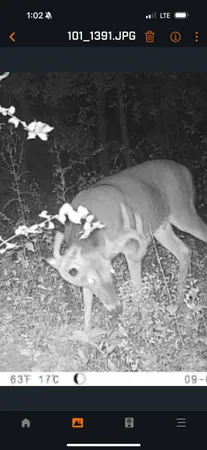 $149,000 | 61 Boscobel Wi 53805, Boscobel, WI 53805