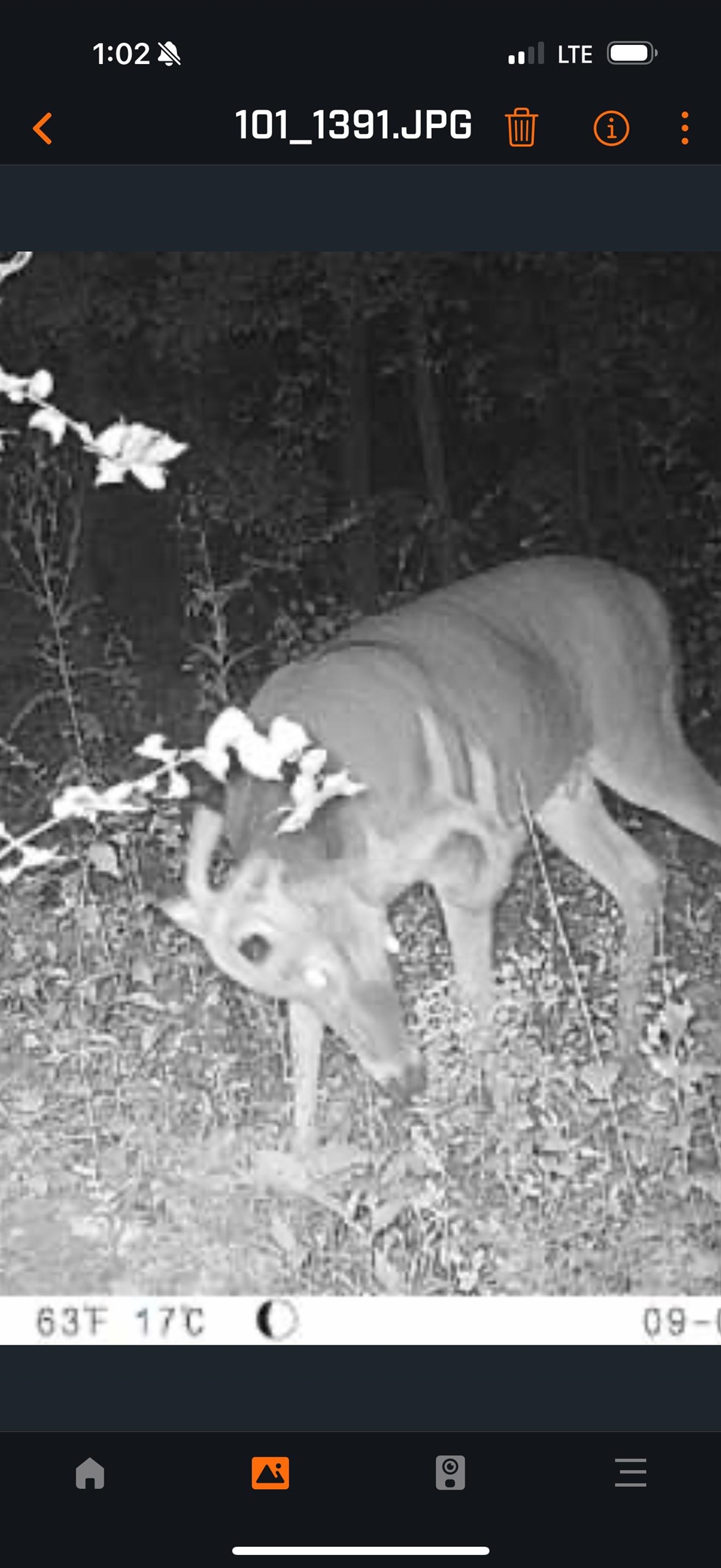 61 Boscobel Wi 53805 Boscobel, WI 53805 - Photo 13 of 16