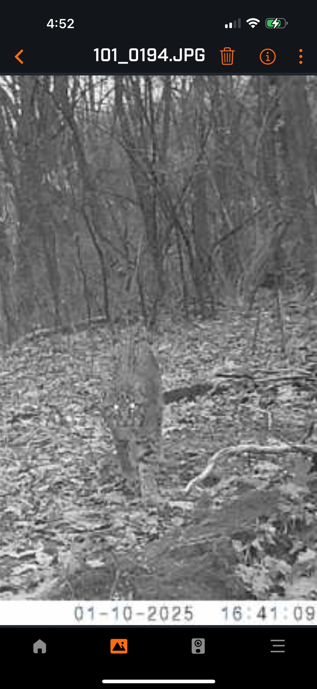 61 Boscobel Wi 53805 Boscobel, WI 53805 - Photo 14 of 16