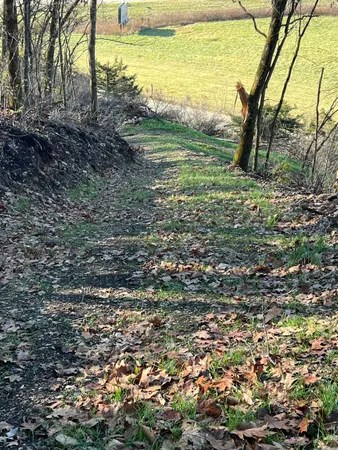 $139,900 | 61 Boscobel Wi 53805, Boscobel, WI 53805