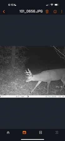 $139,900 | 61 Boscobel Wi 53805, Boscobel, WI 53805