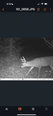 $155,000 | 61 Boscobel Wi 53805, Boscobel, WI 53805