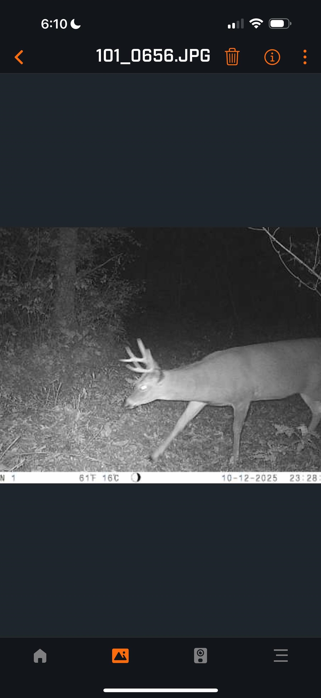 61 Boscobel Wi 53805 Boscobel, WI 53805 - Photo 9 of 16