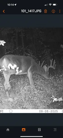 $155,000 | 61 Boscobel Wi 53805, Boscobel, WI 53805