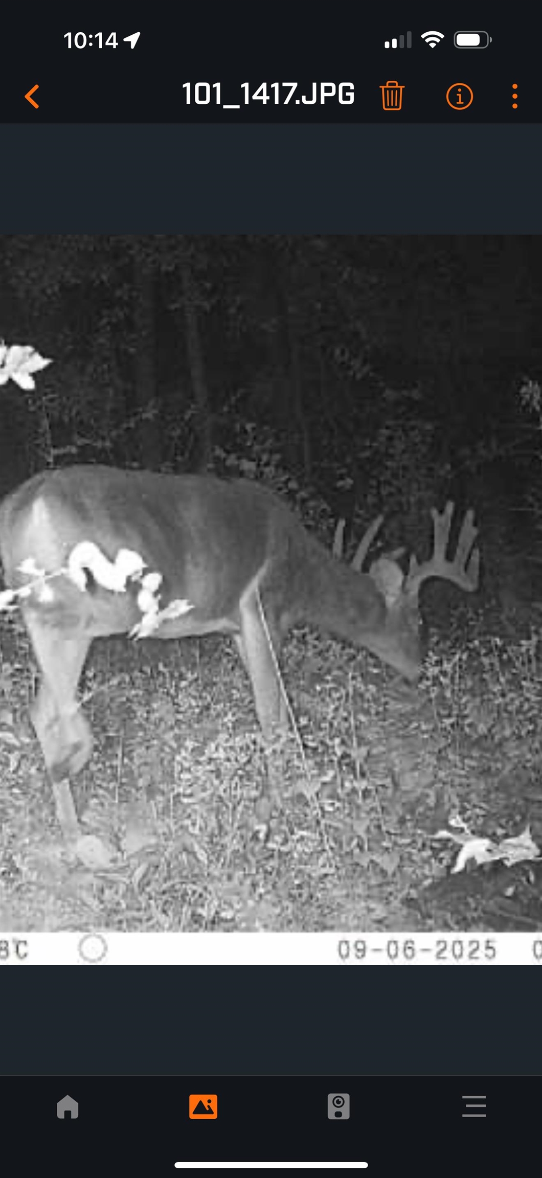 61 Boscobel Wi 53805 Boscobel, WI 53805 - Photo 10 of 16