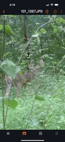 $155,000 | 61 Boscobel Wi 53805, Boscobel, WI 53805