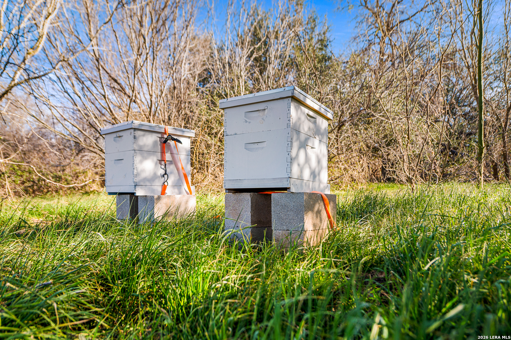 7914 Knowlton Road San Antonio, TX 78263 - Photo 50 of 50