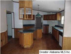 245 Wet Cat Road Hayden, AL 35079 - Photo 10 of 13