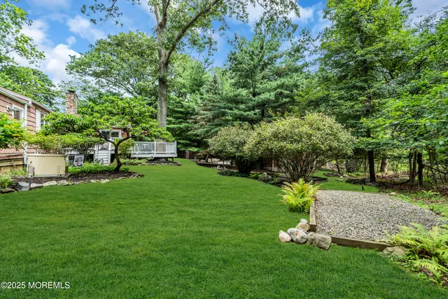a view of a garden with a tree