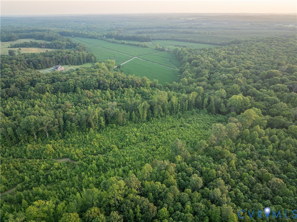385 Asal Road Farmville, VA 23901 - Photo 64 of 68