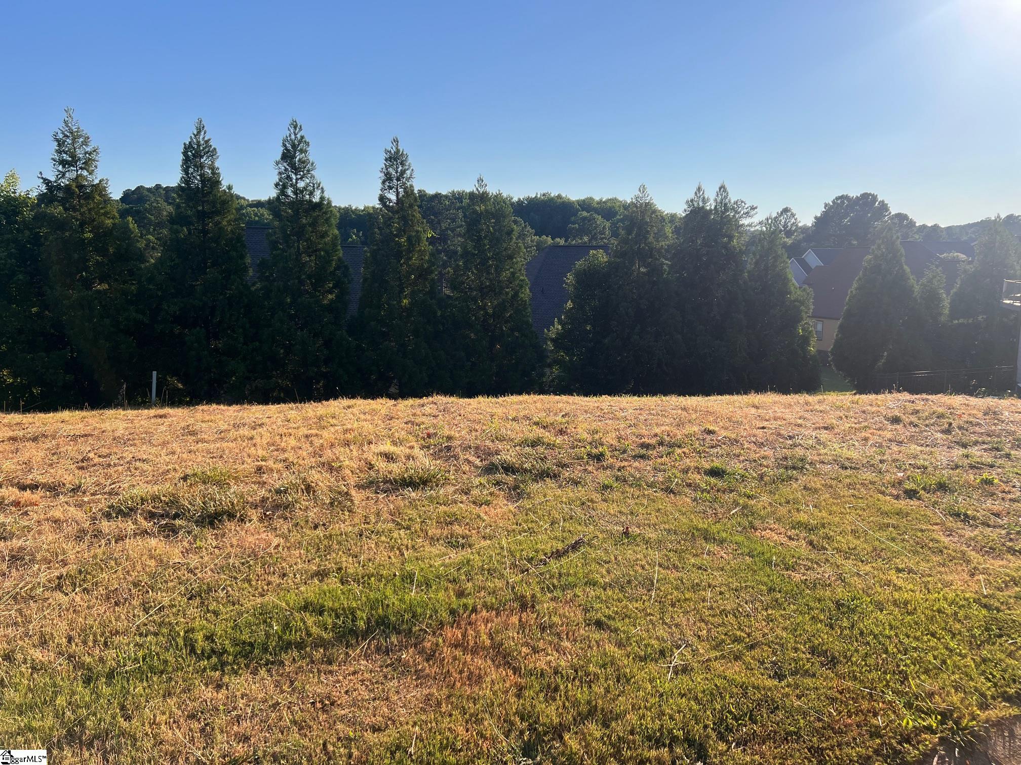 247 Tuscan Ridge Trail Inman, SC 29349 - Photo 3 of 3