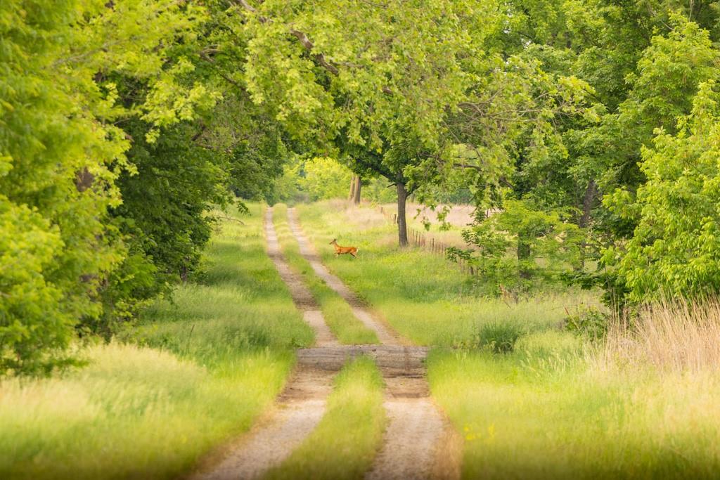 Unity Road Mapleton, KS 66754 - Photo 25 of 42