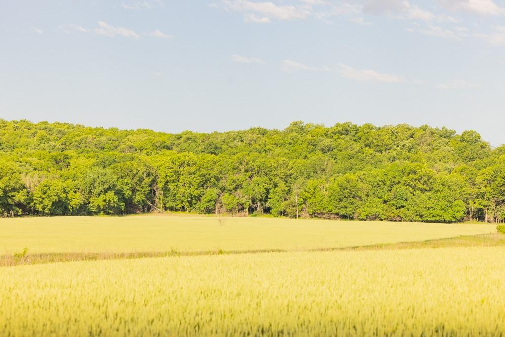 Unity Road Mapleton, KS 66754 - Photo 28 of 42