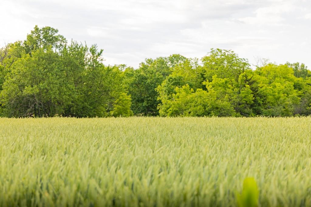 Unity Road Mapleton, KS 66754 - Photo 32 of 42