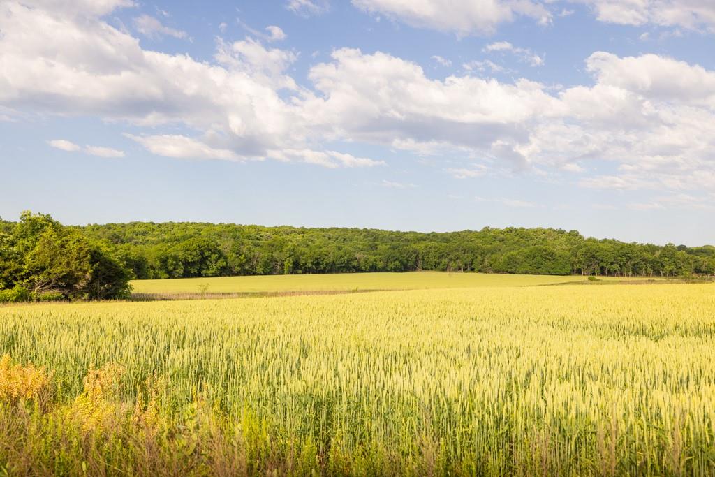 Unity Road Mapleton, KS 66754 - Photo 34 of 42