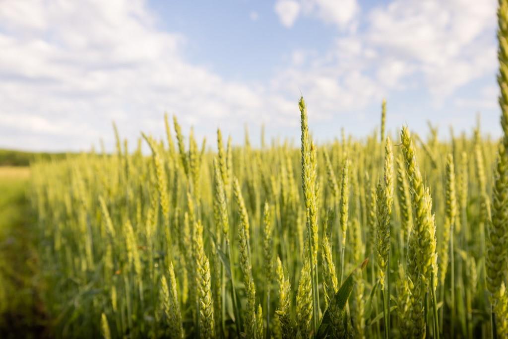 Unity Road Mapleton, KS 66754 - Photo 35 of 42