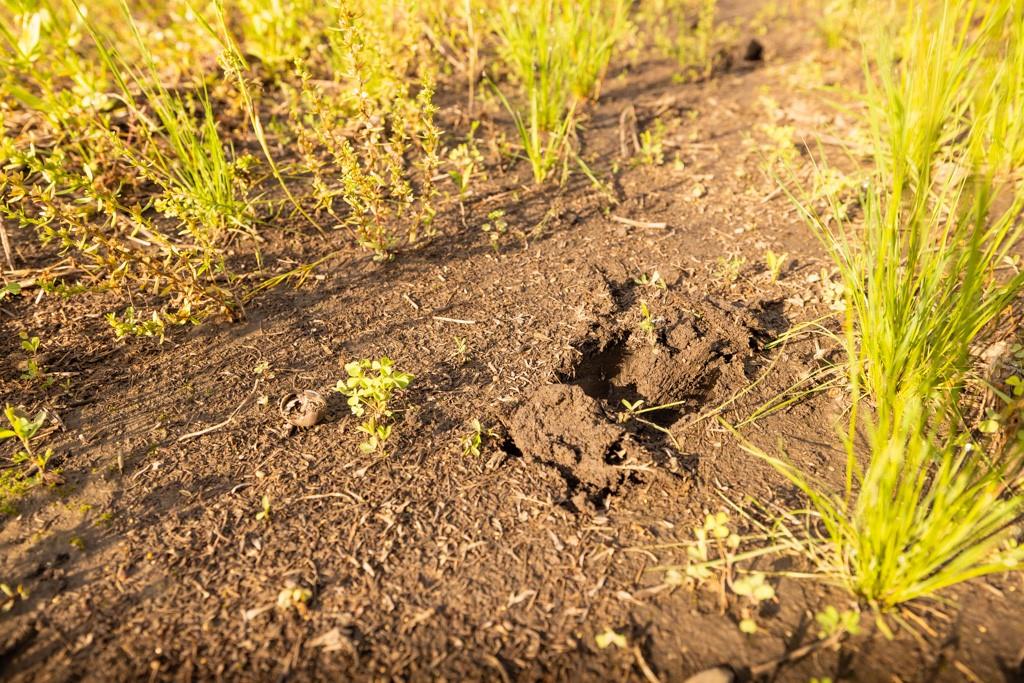 Unity Road Mapleton, KS 66754 - Photo 39 of 42