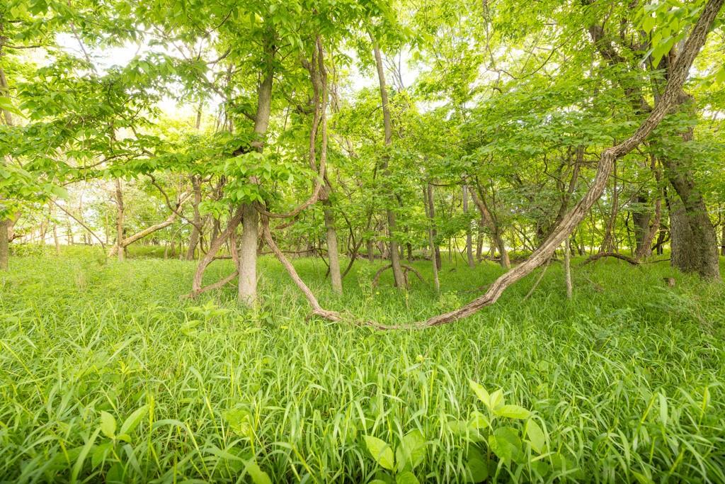 Unity Road Mapleton, KS 66754 - Photo 42 of 42