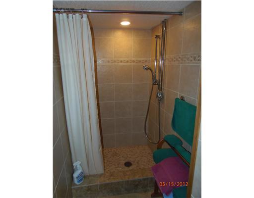 2139 Old 422 Summit Butler, PA 16002 - Photo 18 of 18 Full Bath. Basement walk-in shower