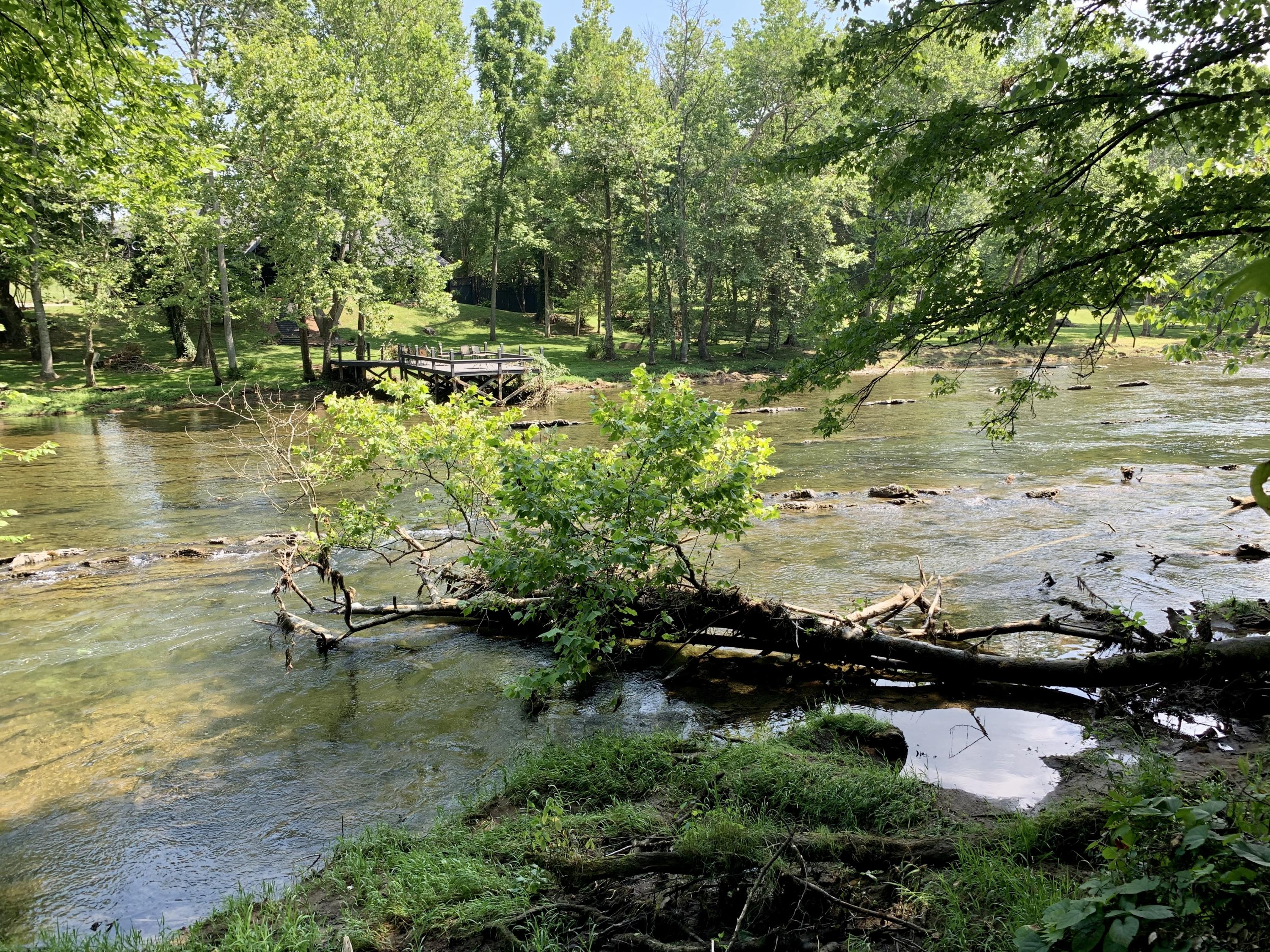 190 Tailwater Road Bluff City, TN 37618 - Photo 14 of 54 IMG_1432