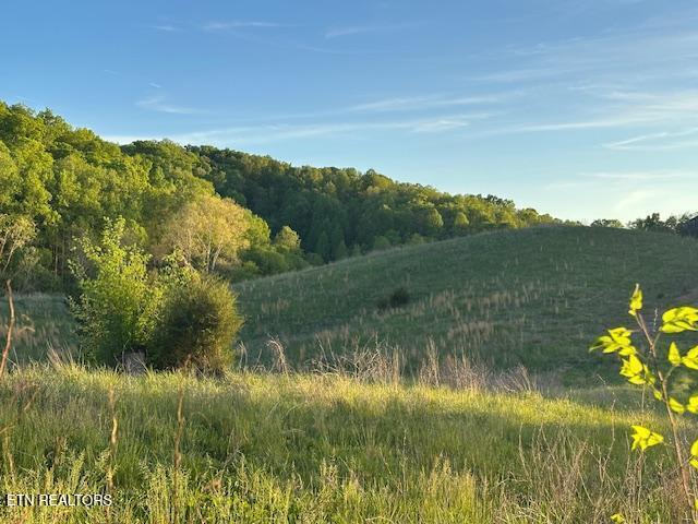 425 Airport Road Bybee, TN 37713 - Photo 12 of 16 pic2