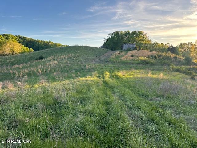425 Airport Road Bybee, TN 37713 - Photo 13 of 16 pic3