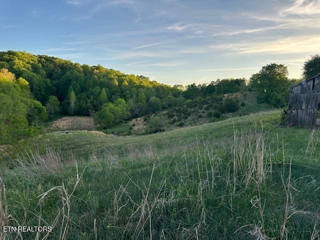 425 Airport Road Bybee, TN 37713 - Photo 2 of 16 pic11