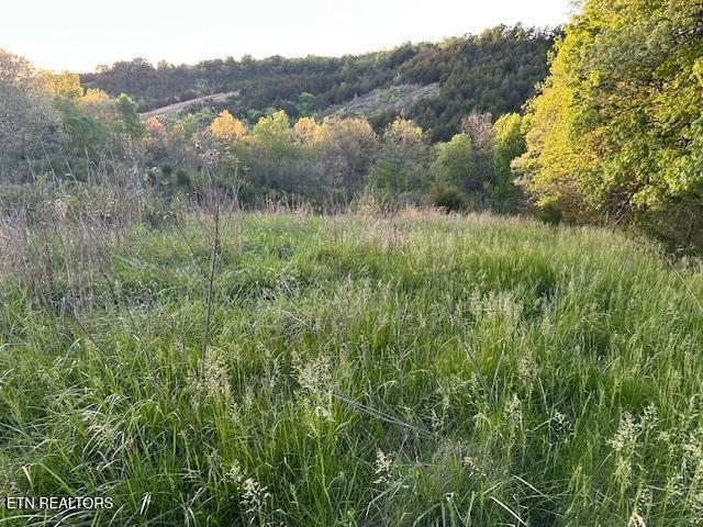 425 Airport Road Bybee, TN 37713 - Photo 3 of 16 pic13
