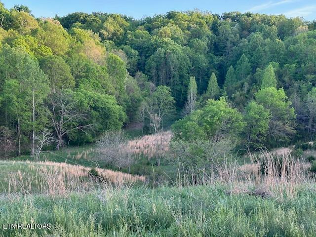 425 Airport Road Bybee, TN 37713 - Photo 4 of 16 pic14