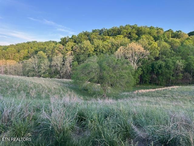 425 Airport Road Bybee, TN 37713 - Photo 5 of 16 pic15