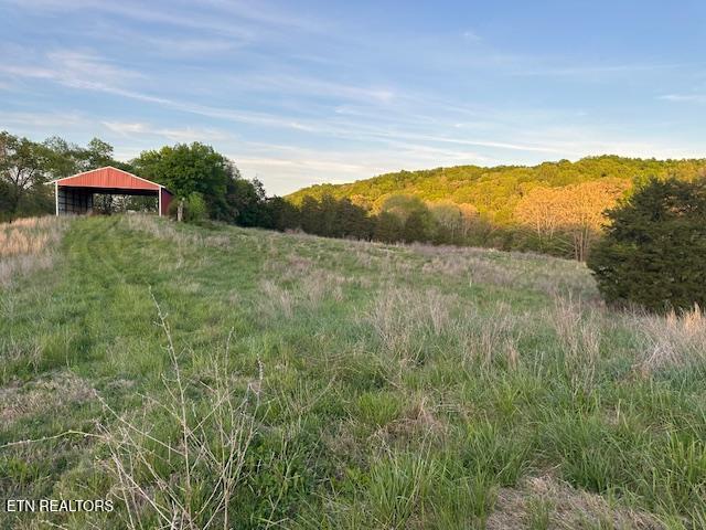 425 Airport Road Bybee, TN 37713 - Photo 6 of 16 pic16