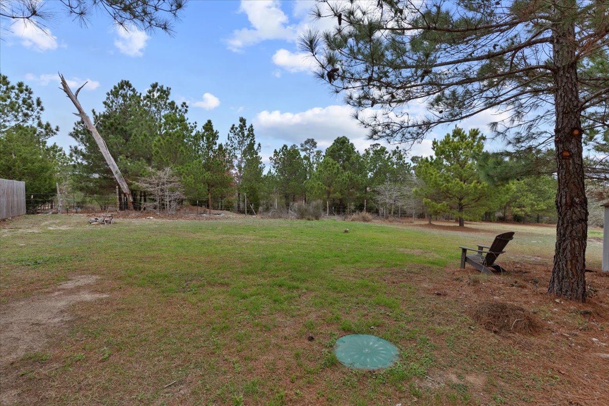 207 Cardinal Loop Paige, TX 78659 - Photo 35 of 39 View of green lawn