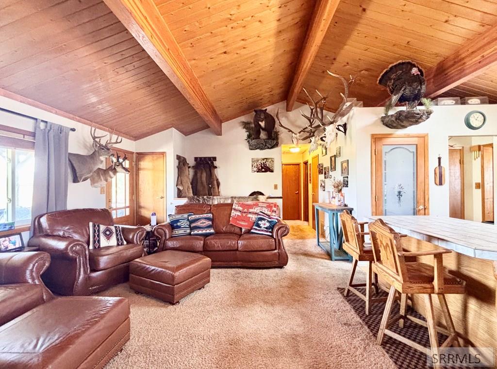 20 Stephens Road Challis, ID 83226 - Photo 4 of 50
