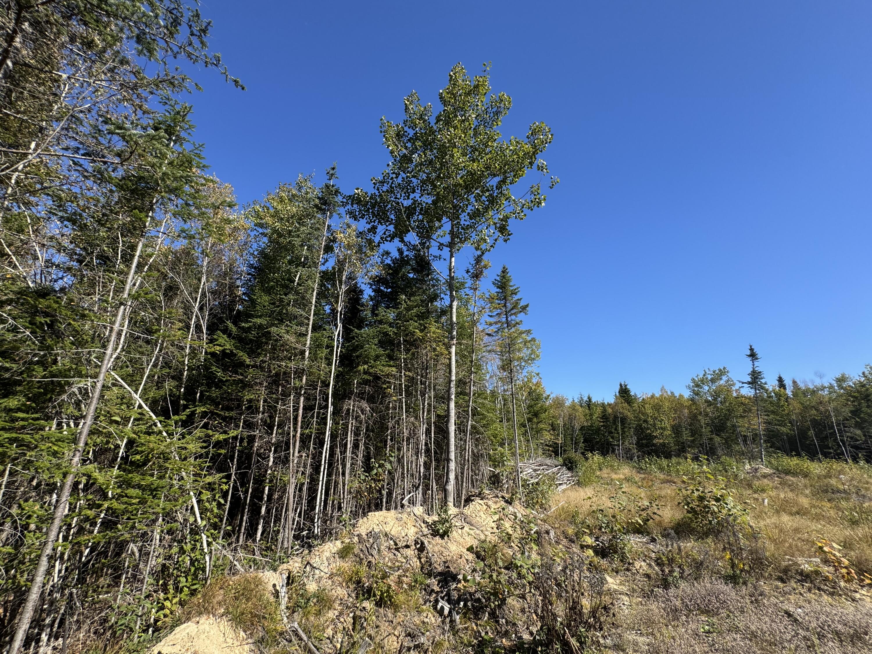 Undisclosed Address Machias, ME 04654 - Photo 14 of 29 IMG_2303