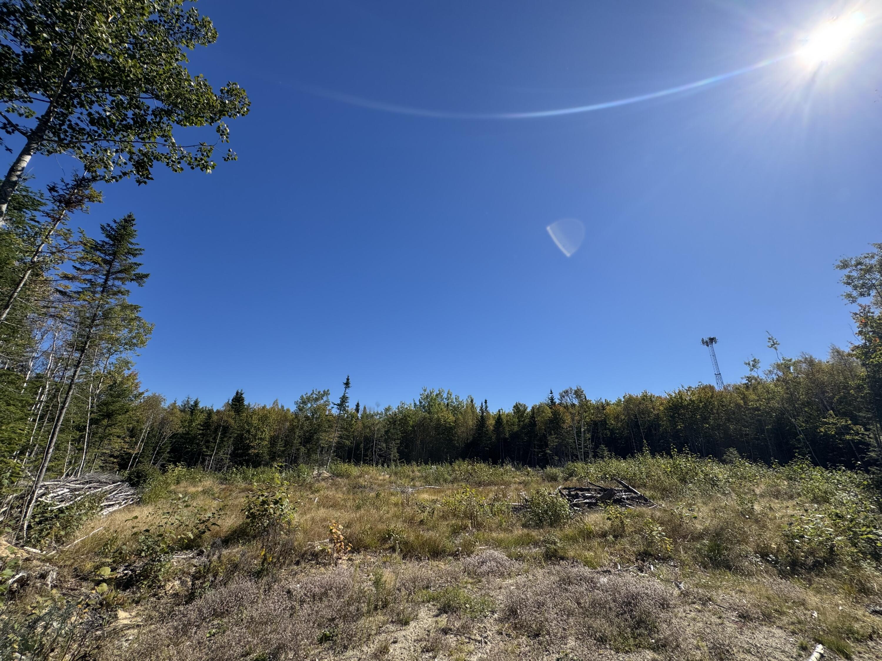 Undisclosed Address Machias, ME 04654 - Photo 15 of 29 IMG_2302