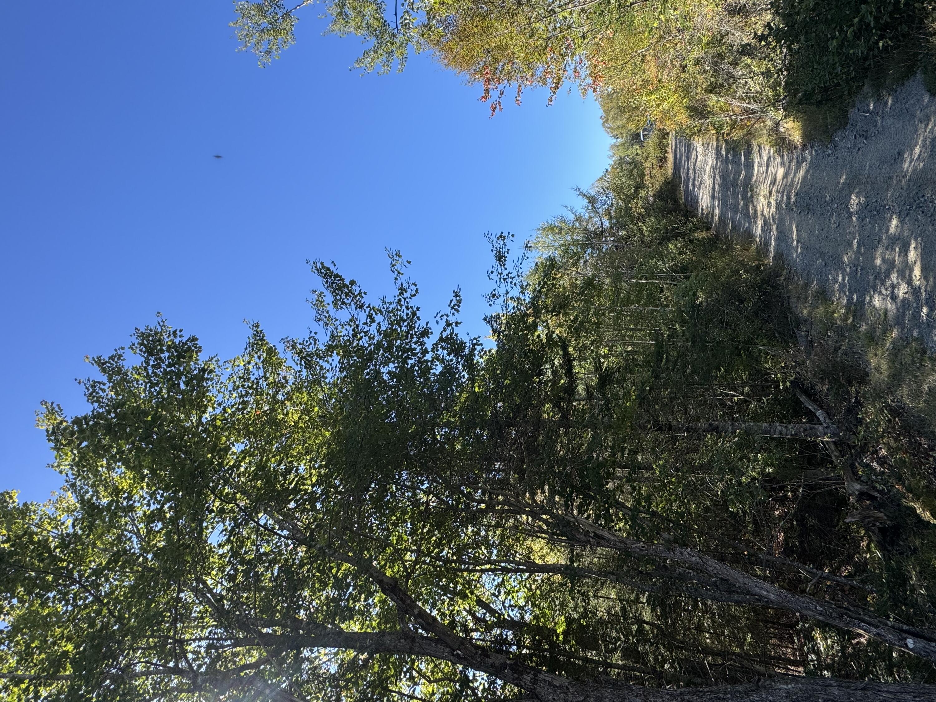 Undisclosed Address Machias, ME 04654 - Photo 25 of 29 IMG_2292