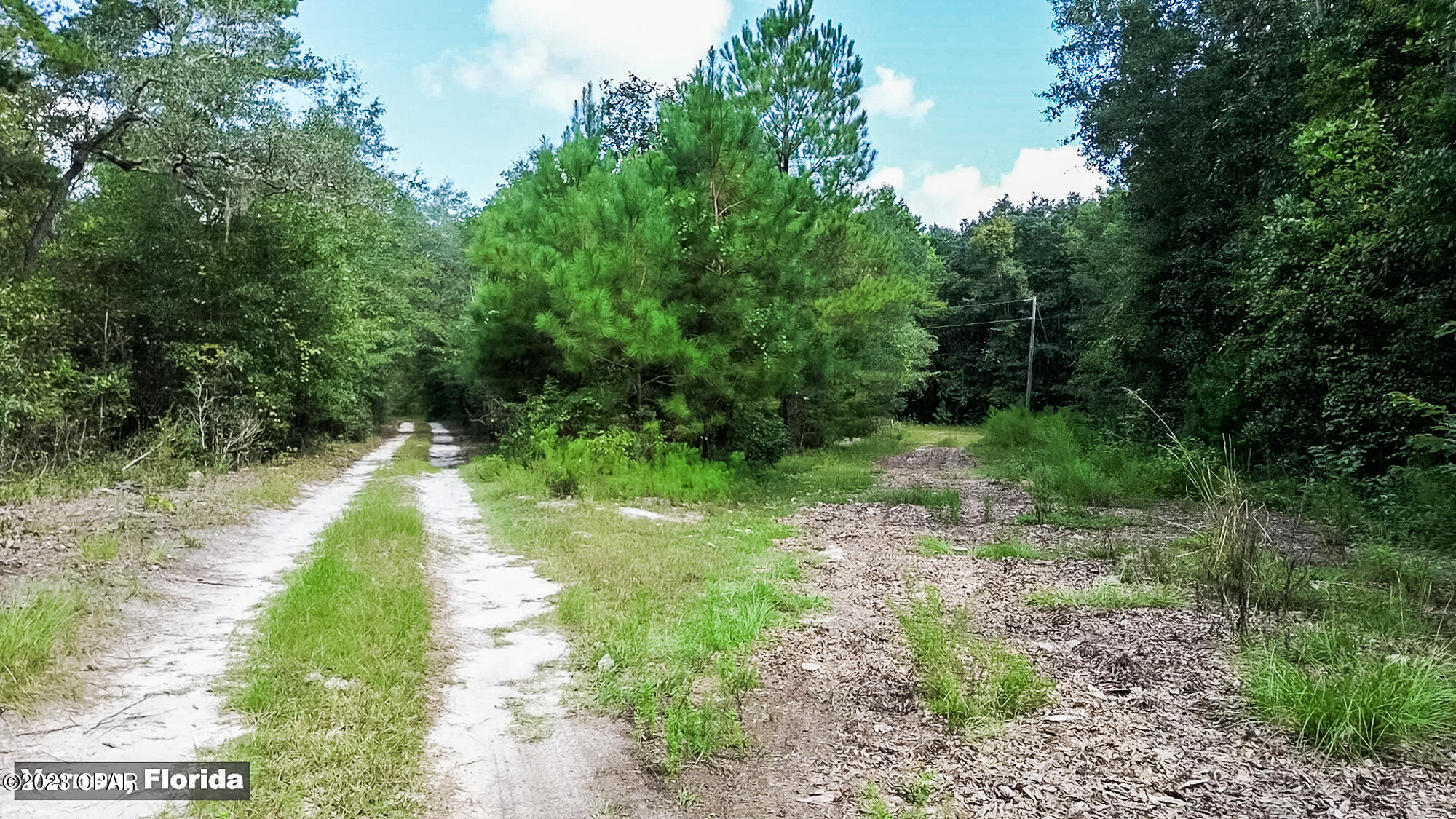 # Acy Road Vernon, FL 32462 - Photo 11 of 17