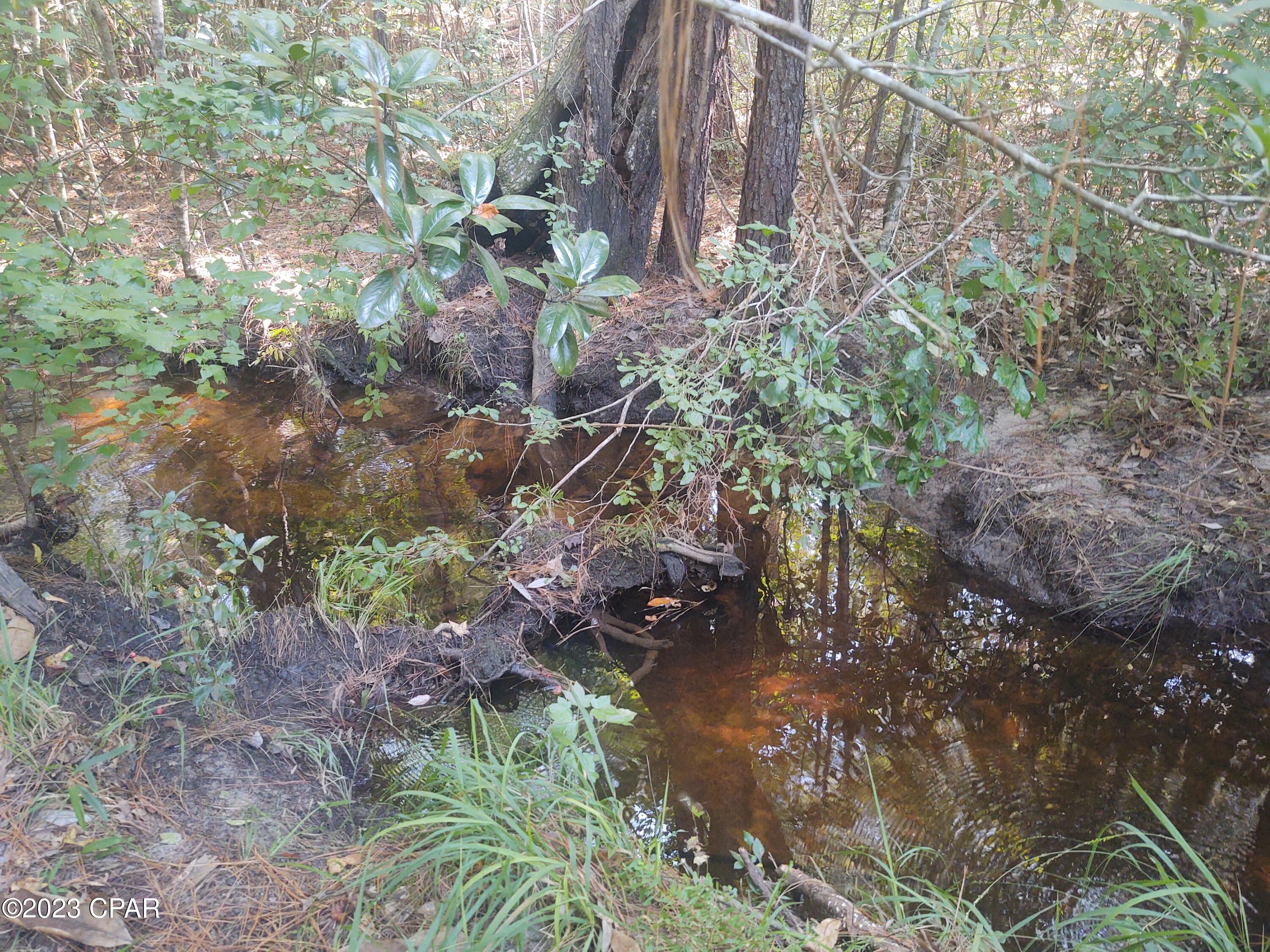 # Acy Road Vernon, FL 32462 - Photo 5 of 17