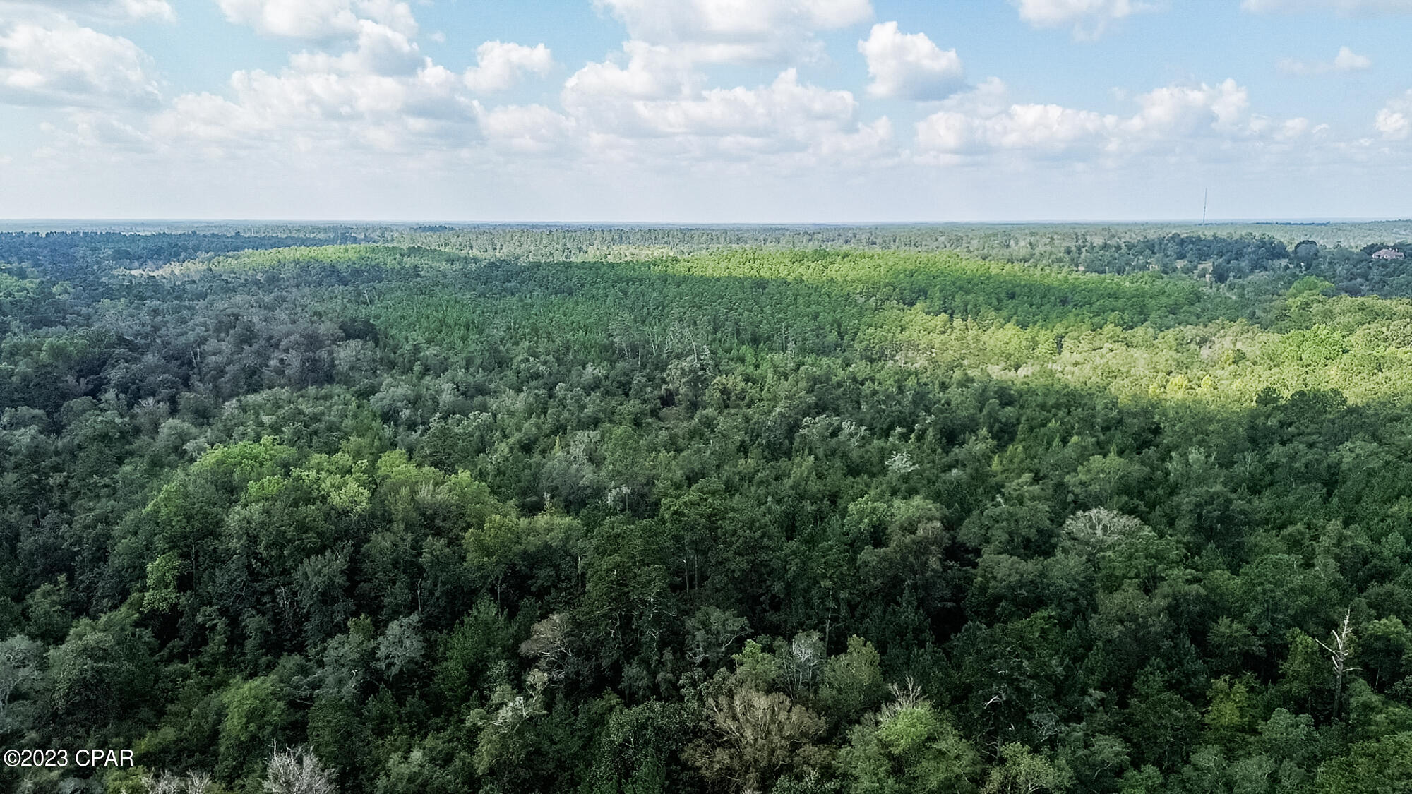 # Acy Road Vernon, FL 32462 - Photo 7 of 17