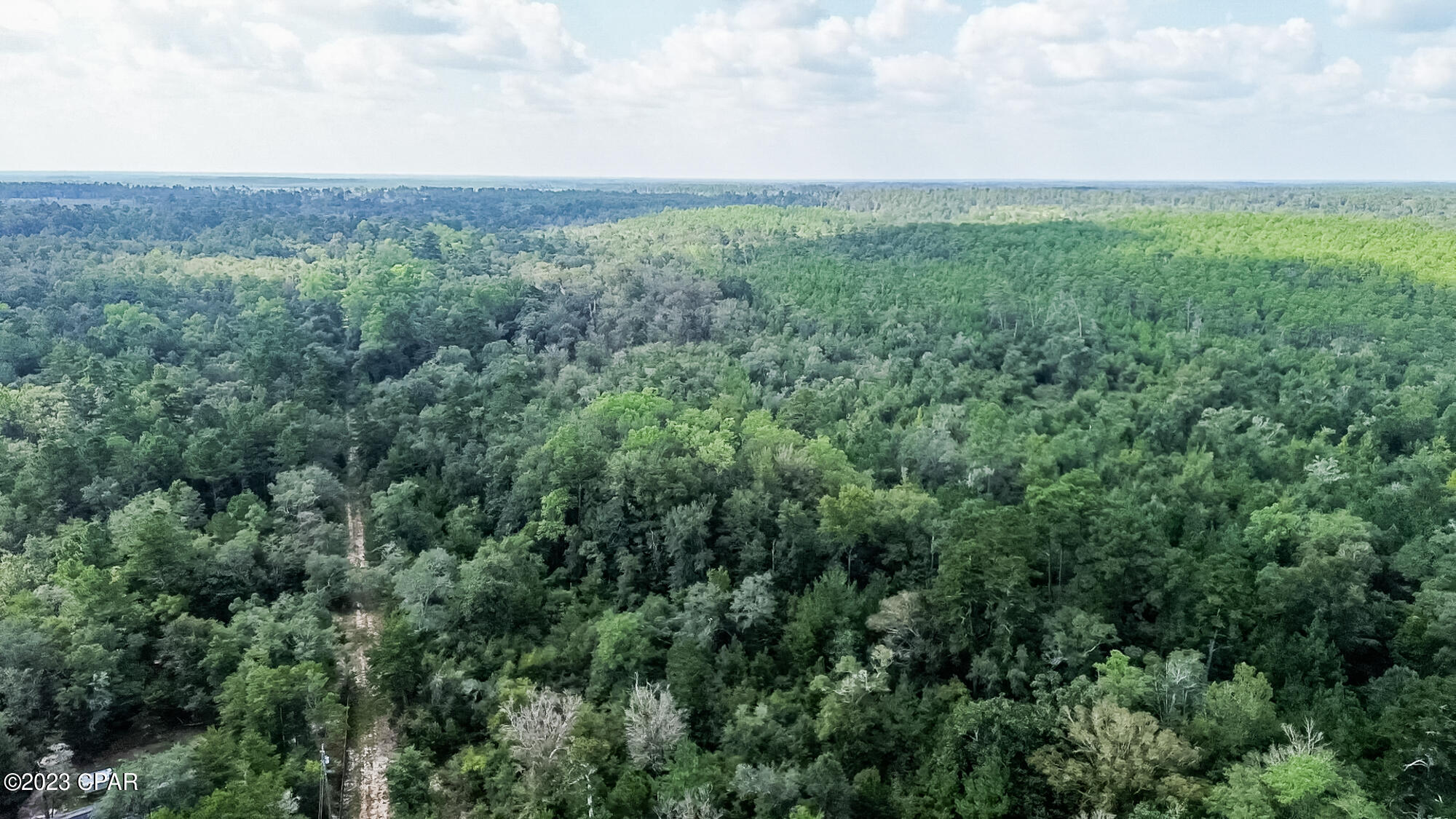 # Acy Road Vernon, FL 32462 - Photo 9 of 17