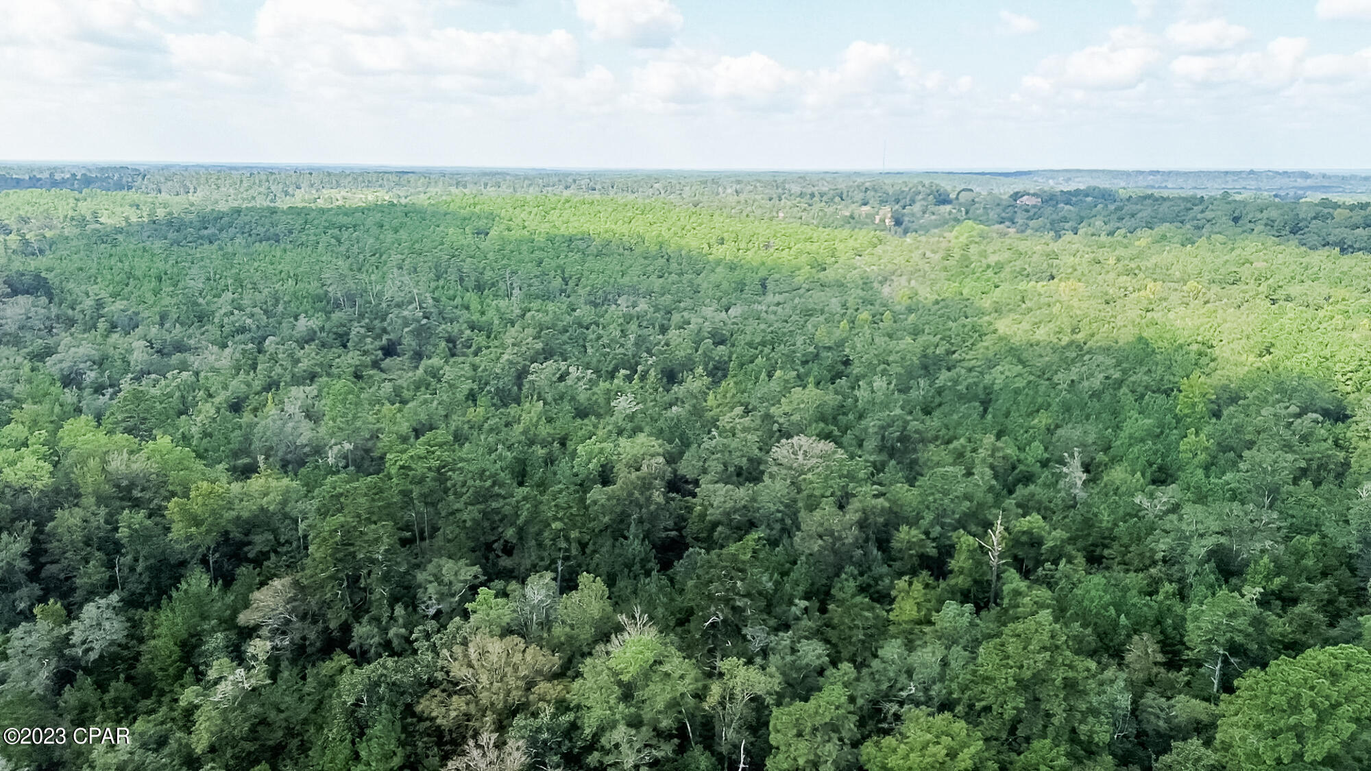 # Acy Road Vernon, FL 32462 - Photo 10 of 17