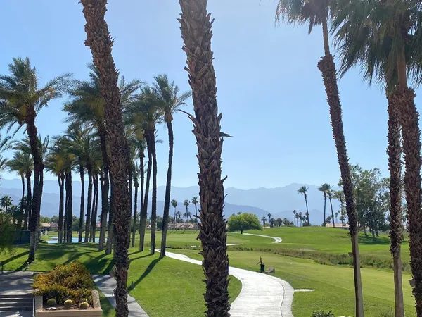 a view of a park and trees