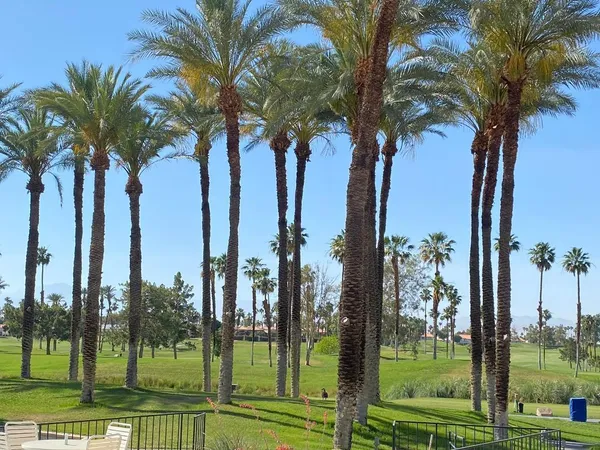 a view of a yard with palm trees
